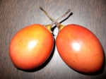 tomate de arbol